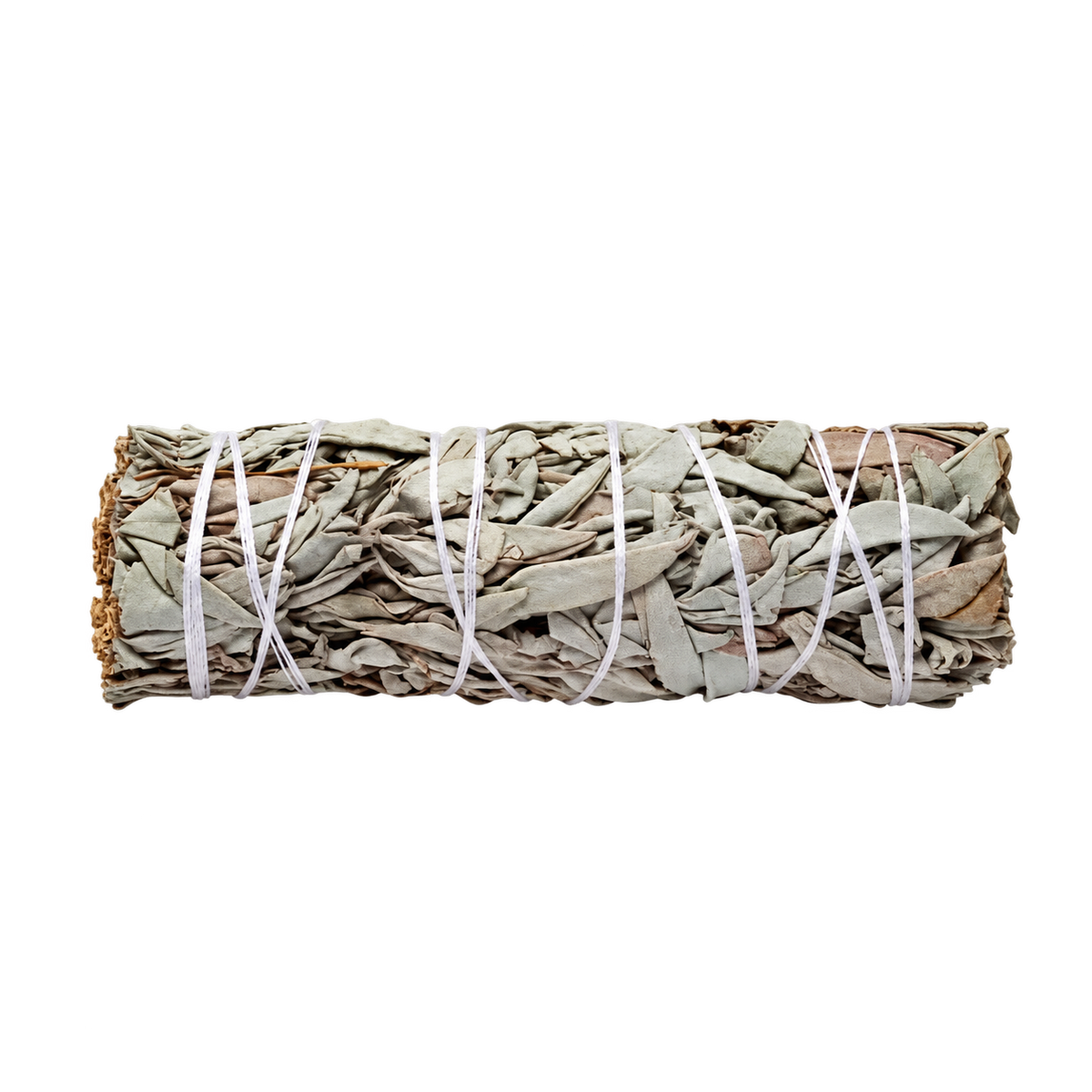 White Sage Räucherbündel Groß (16 × 4 cm) – Salvia apiana