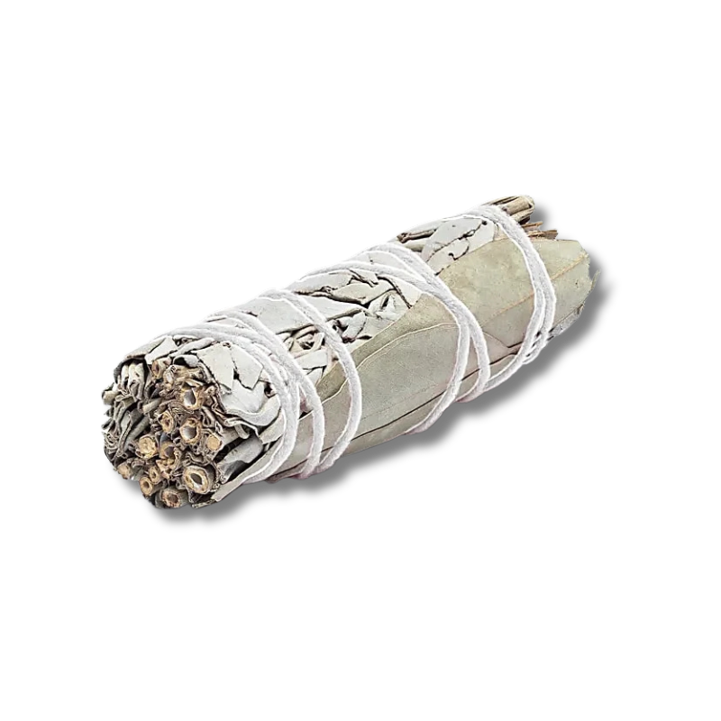 White Sage Räucherbündel mit Eukalyptusblättern