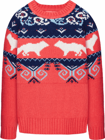 Sweater Colorful